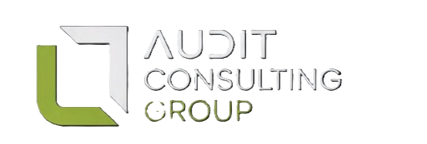 AuditConsulting Group